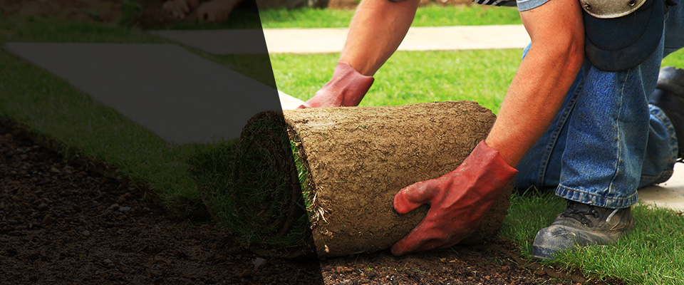 Hollywood Landscapers
